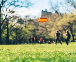 People enjoying a sunny day at the park while playing frisbee on a grassy field in the afternoon photo