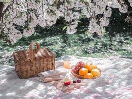 Enjoying a delightful spring picnic under blooming cherry blossom trees with a basket of fresh fruit and refreshing drinks photo
