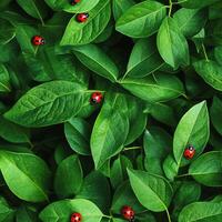 Seamless pattern of vibrant green leaves with bright red ladybugs adding a pop of color in a natural and tranquil design - Variant 1 photo
