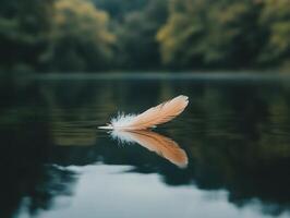 Close up of a delicate feather floating on still water at sunset with vibrant orange and pink hues - Variant 50 photo