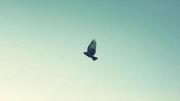 a White bird soaring gracefully against soft blue sky symbolizing freedom, peace, and the beauty of flight in minimalist design photo