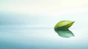 a green leaf floating serenely on calm water surface reflecting in soft natural light minimal environmental concept photo