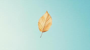 Delicate dried leaf on pastel background highlighting intricate vein patterns natural texture and simplicity photo