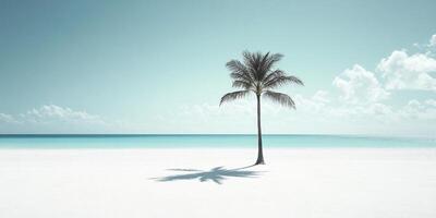 palm tree casting long shadow on bright beach minimal tropical landscape with clear blue sky photo
