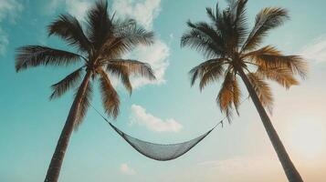Empty hammock swaying gently between two tall palm trees under bright sky peaceful tropical paradise setting photo