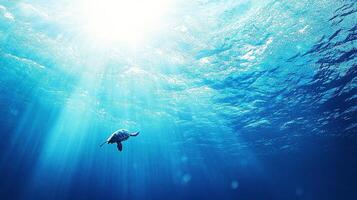 Majestic sea turtle swimming gracefully crystal clear ocean waters under radiant sunlight photo