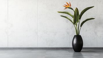 Minimalistic composition of a single bird of paradise flower placed in a black vase against a plain wall in natural light photo