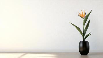 Minimalistic composition of a single bird of paradise flower placed in black vase against a plain wall in natural light photo