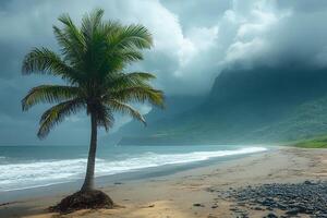 Tropical Beach Scene with Palm Tree and Ocean Waves on Cloudy Day photo
