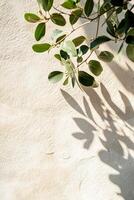The scene showcases a smooth beige stone surface with delicate shadows of green leaves softly cast upon it. The clean and organic feel creates an inviting ambiance, perfect for text placement photo