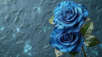 Two vibrant blue roses with dew drops, against a textured blue background photo