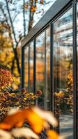 Autumnal Glasshouse Modern Architecture photo