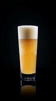 A Refreshing Lager in a Glass photo