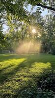 Radiant Summer Garden with Sprinkler photo