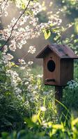 Springtime Birdhouse in a Garden of Blossoms photo