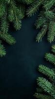 Dark Background with Elegant Christmas Fir Branches photo