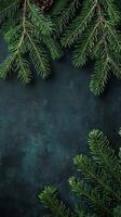 Dark Christmas Fir Branches Arrangement photo