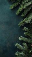 Dark Christmas Fir Branches on Textured Background photo