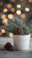 Christmas Decoration with Pine Branches and Cones photo