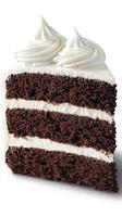 Festive Chocolate Cake Slice with Creamy Frosting photo
