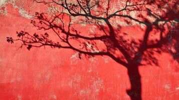 Red Wall Shadow Play Nature's Silhouette on a Vibrant Surface photo