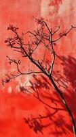 Vibrant Red Wall with a Silhouetted Tree photo