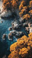 Autumn Coastline Golden Trees and Rocky Shore photo