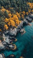 Autumn Coastline Golden Trees Meet Turquoise Waters photo