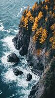 Autumn Coastline Dramatic Cliffs and Golden Trees photo