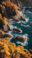 Coastal Autumn Scenery Golden Trees, Rocky Cliffs, and Azure Ocean photo