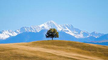 Majestic Mountain Landscape with Solitary Tree photo