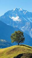 Majestic Mountain Scenery with a Solitary Tree photo