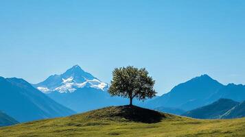 Majestic Mountains and a Solitary Tree photo