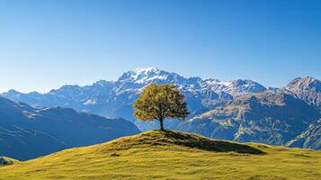 Majestic Mountain Landscape Featuring a Single Tree photo