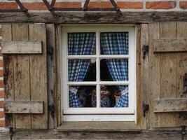 A window with a cat in it photo