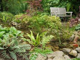 A bench sitting in a garden next to a stream photo