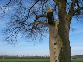 A statue of a man on a cross in a field photo