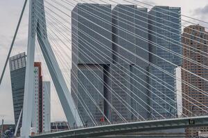 modern skyline of Rotterdam in the netherlands with a bridge photo