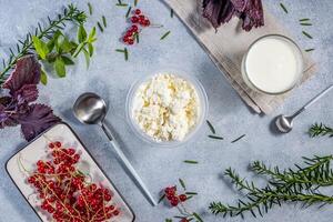 Cottage cheese, yogurt, redcurrant and aromatic herbs creating a delightful culinary scene photo
