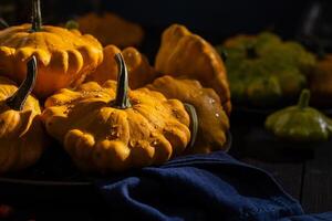 Fresh yellow pattypan squashes with water droplets resting on dark blue napkin photo