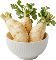 Organic Parsnip Vegetable Close-up png