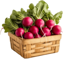 Fresh Radish on White Background png