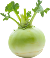 Kohlrabi Vegetable Isolated on White Background png