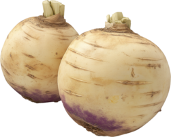 Fresh Rutabaga on White Background png