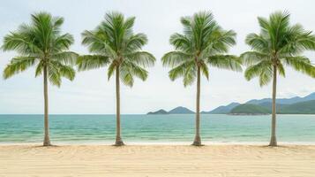 5 palm trees on a sandy beach, with ocean and mountains photo