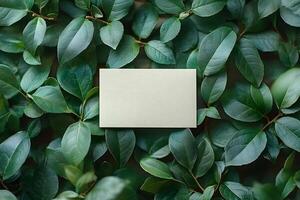Blank White Card on Vibrant Green Foliage for Eco-Friendly Design and Invitations photo