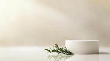 Minimalist display featuring round white pedestal and green foliage against soft neutral background photo