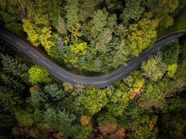 Winding road through colourful autumn forest aerial view photo