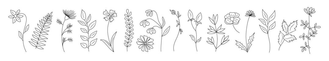 Set of tiny wild flowers and plants line drawing. vector