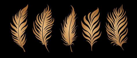 Bird Feathers gold gradient silhouette set. vector